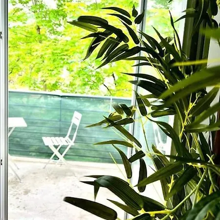 Grand Appartement, Calme, Proche Centre-Ville Pau Extérieur photo